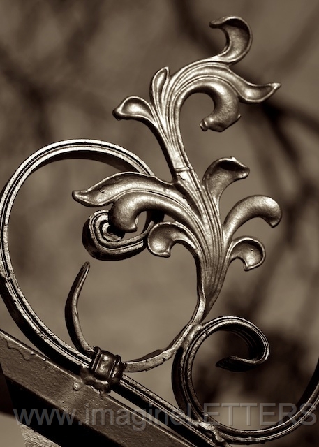 Wall_Art_Alphabet_Photography_Art_ 1098.jpg